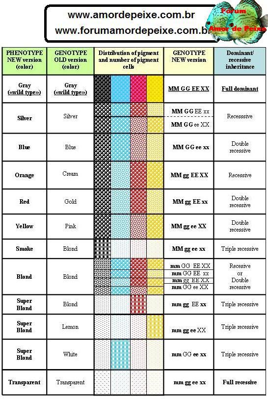 guppy aquariums guppy colors chart